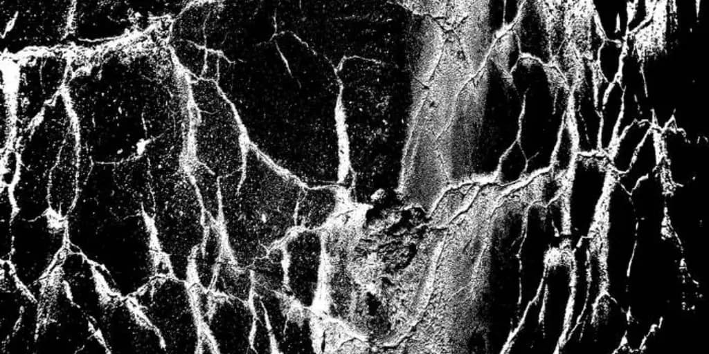 This Is Not Just a Track