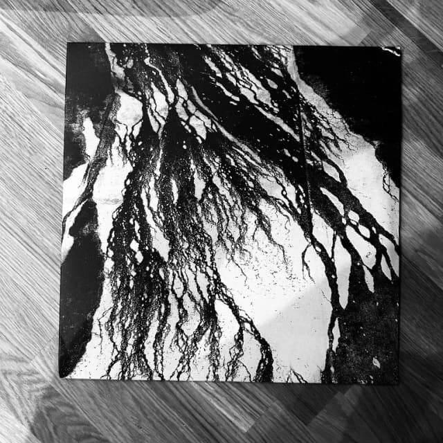 JESSE DRAXLER - REIGNING CEMENT