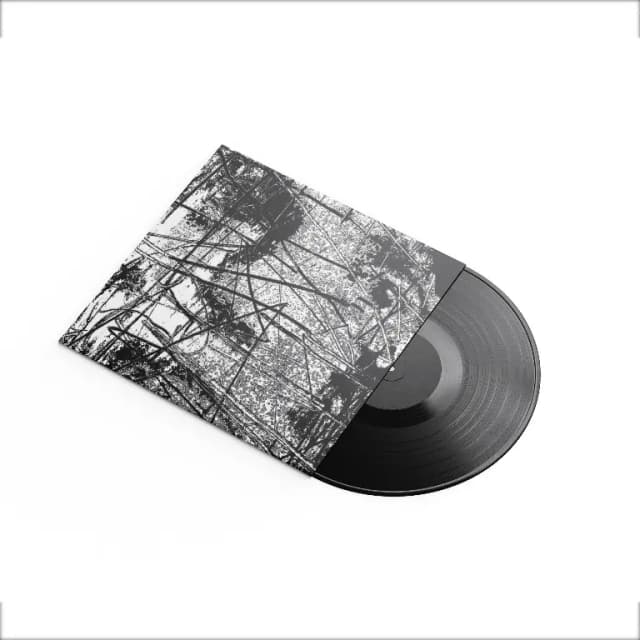 The Wounds of Failure, The Pillars of Desire VINYL